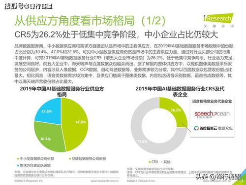 2020年中國人工智能基礎數據服務白皮書 聚焦互聯網游戲服務